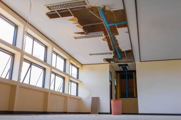 Best Ceiling water damage repair  in Flourtown, PA